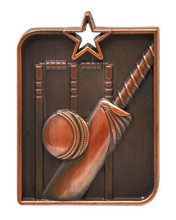 Cricket Sculptured Rectangle Medal Trophy - Bronze