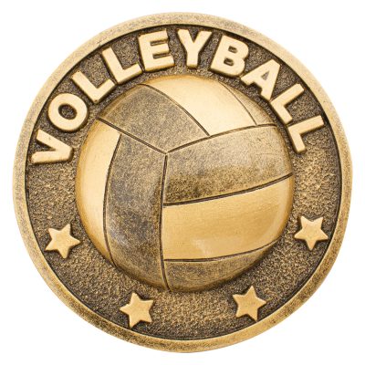 Volleyball Emblem Insert - 65mm