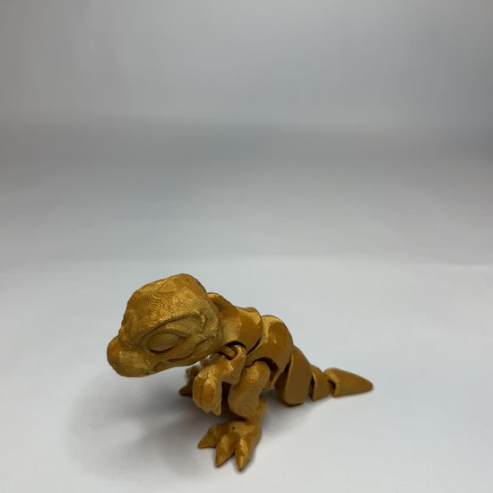 Tiny Trex - M