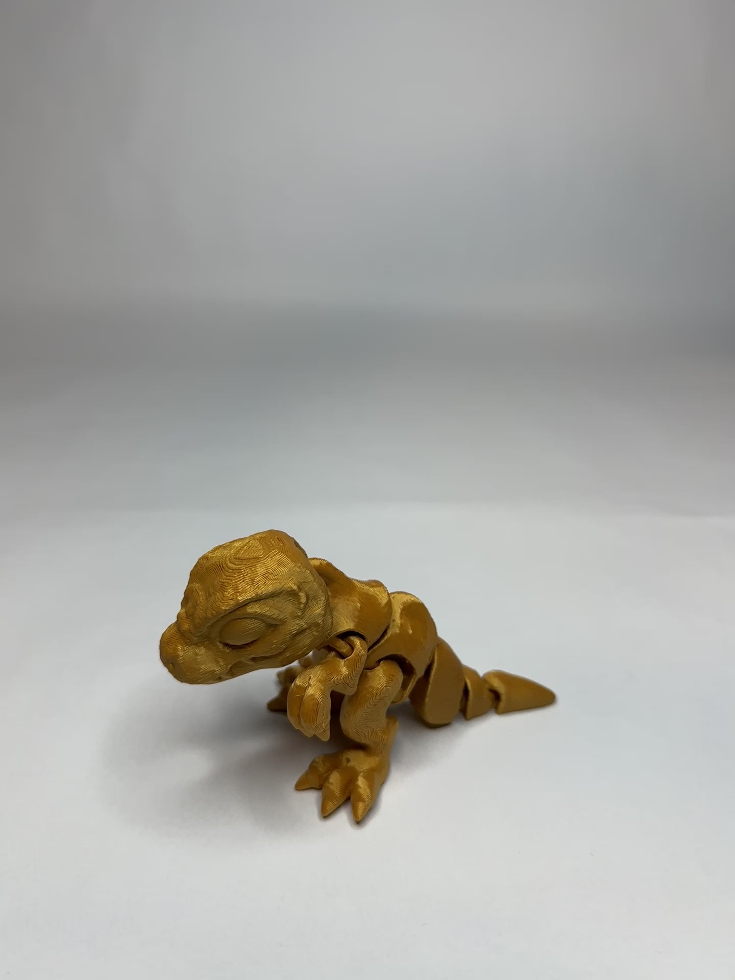 Tiny Trex - M