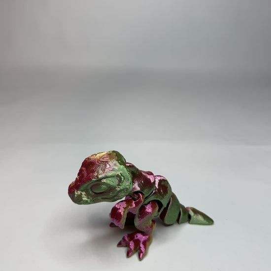 Tiny Trex - M